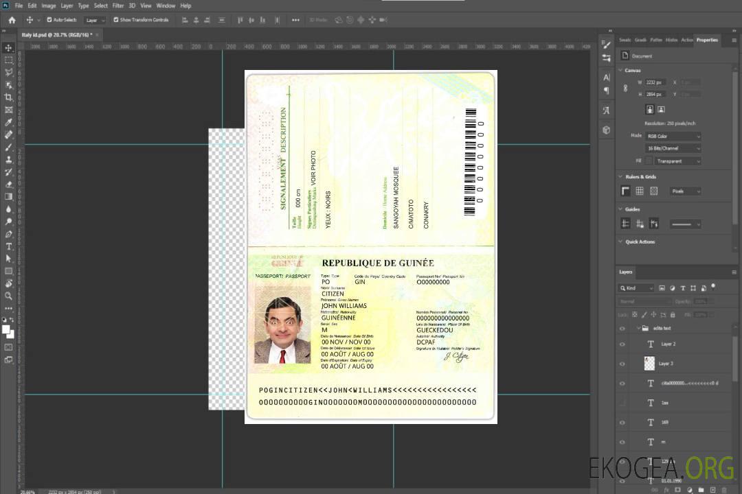 Passeport Guinéen (2014-2018) template